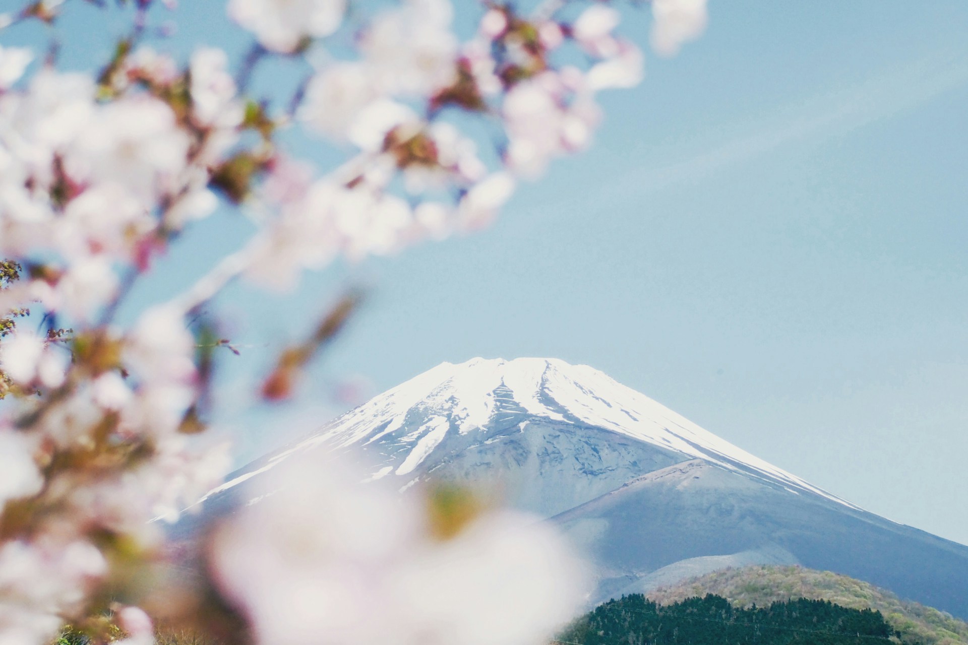Off-the-Beaten-Path Adventures in Japan